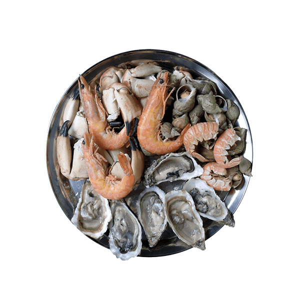 SeaFood