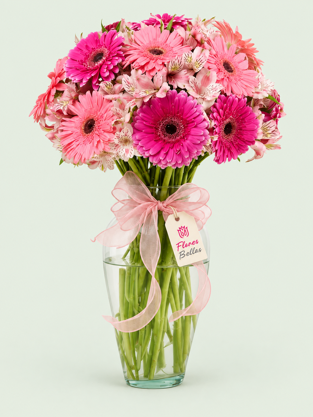 Gerberas rosas y fucsias con alstroemerias, florero de vidrio, moño rosa y etiqueta Flores Bellas.